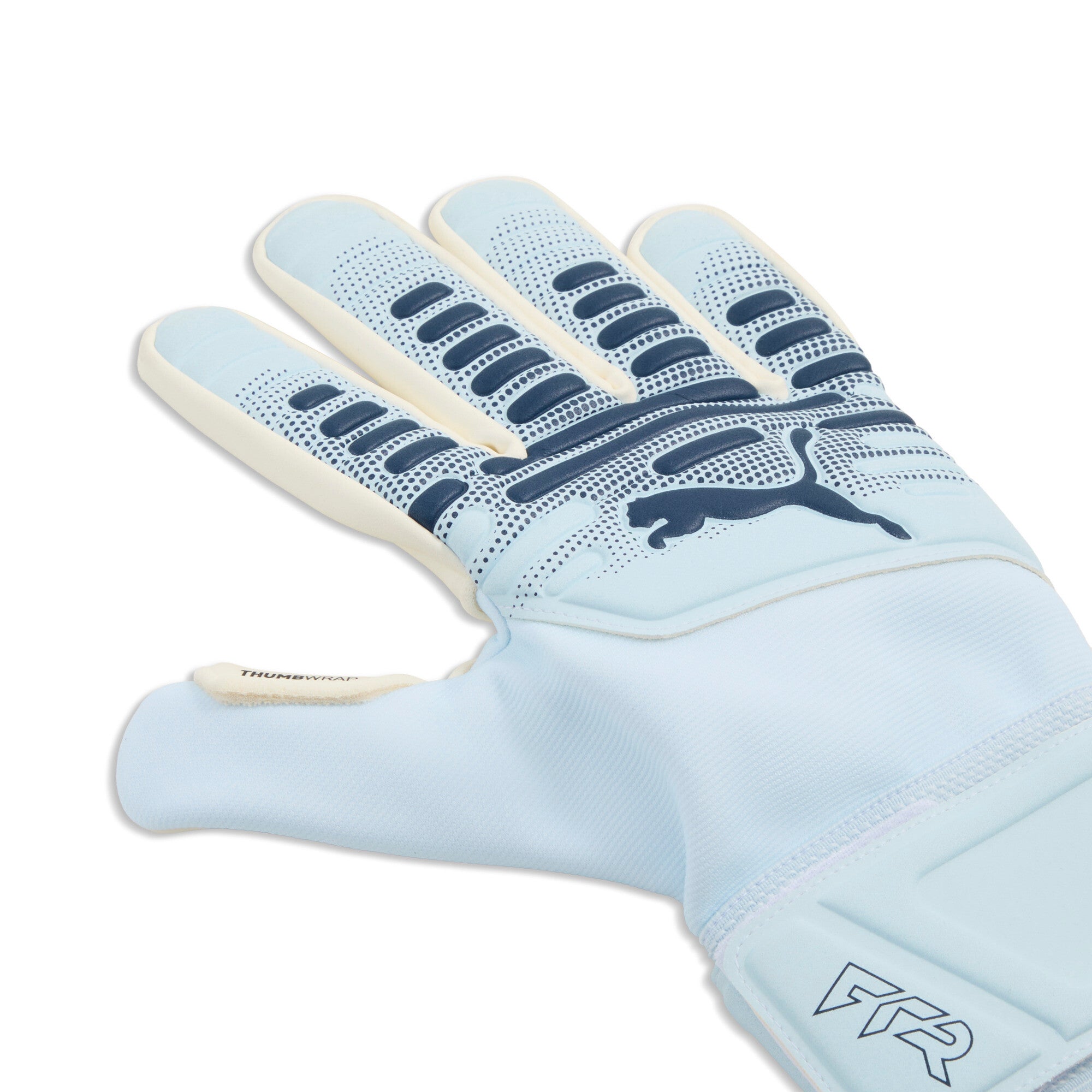 Puma Future Match NC Goalkeeper Gloves