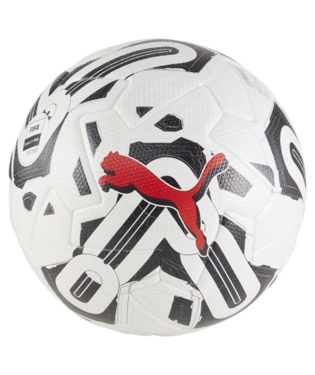 Puma Orbita 1 TB FIFA Quality Pro Ball