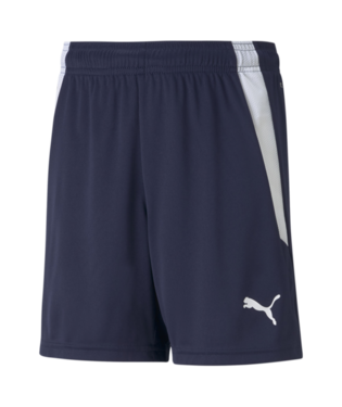 Puma Teamliga Shorts