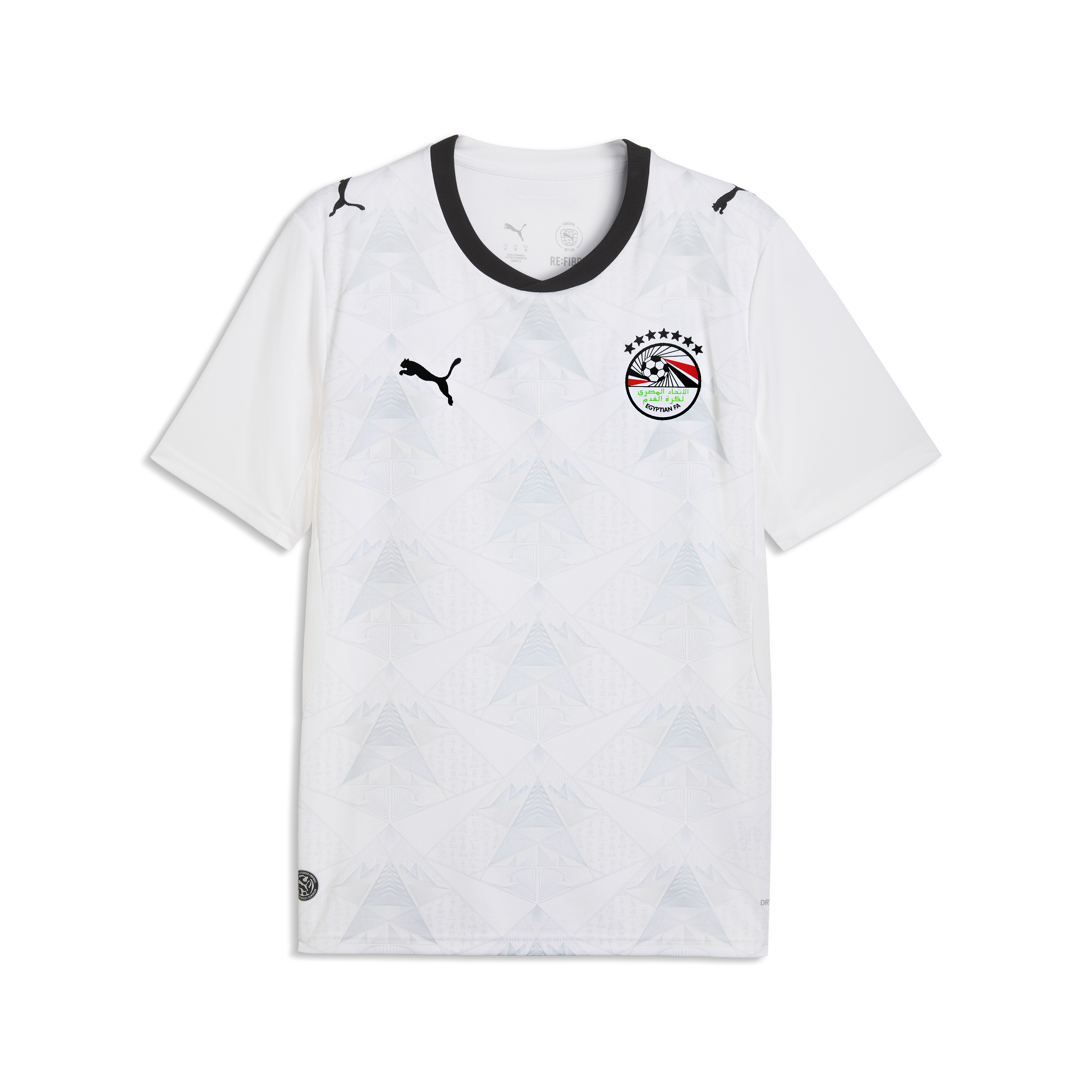 Puma Egypt 2026 Away Jersey