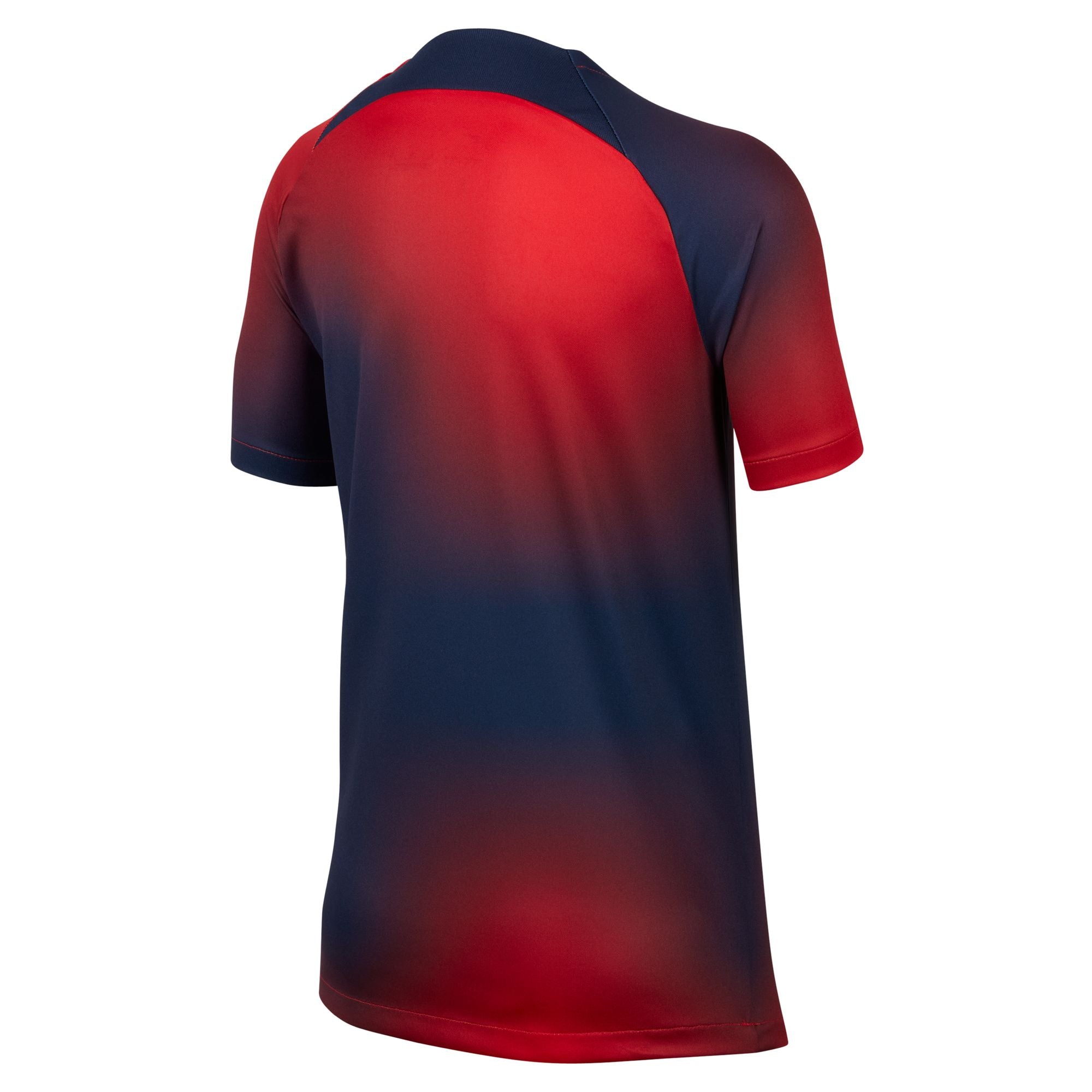 Nike Paris Saint-Germain 2023/24 Academy Pro Dri-FIT Pre-Match Soccer Top