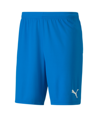 Puma Team Goal Shorts