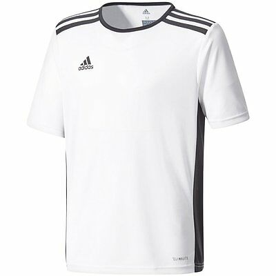 Adidas Entrada 18 Jersey- Adult
