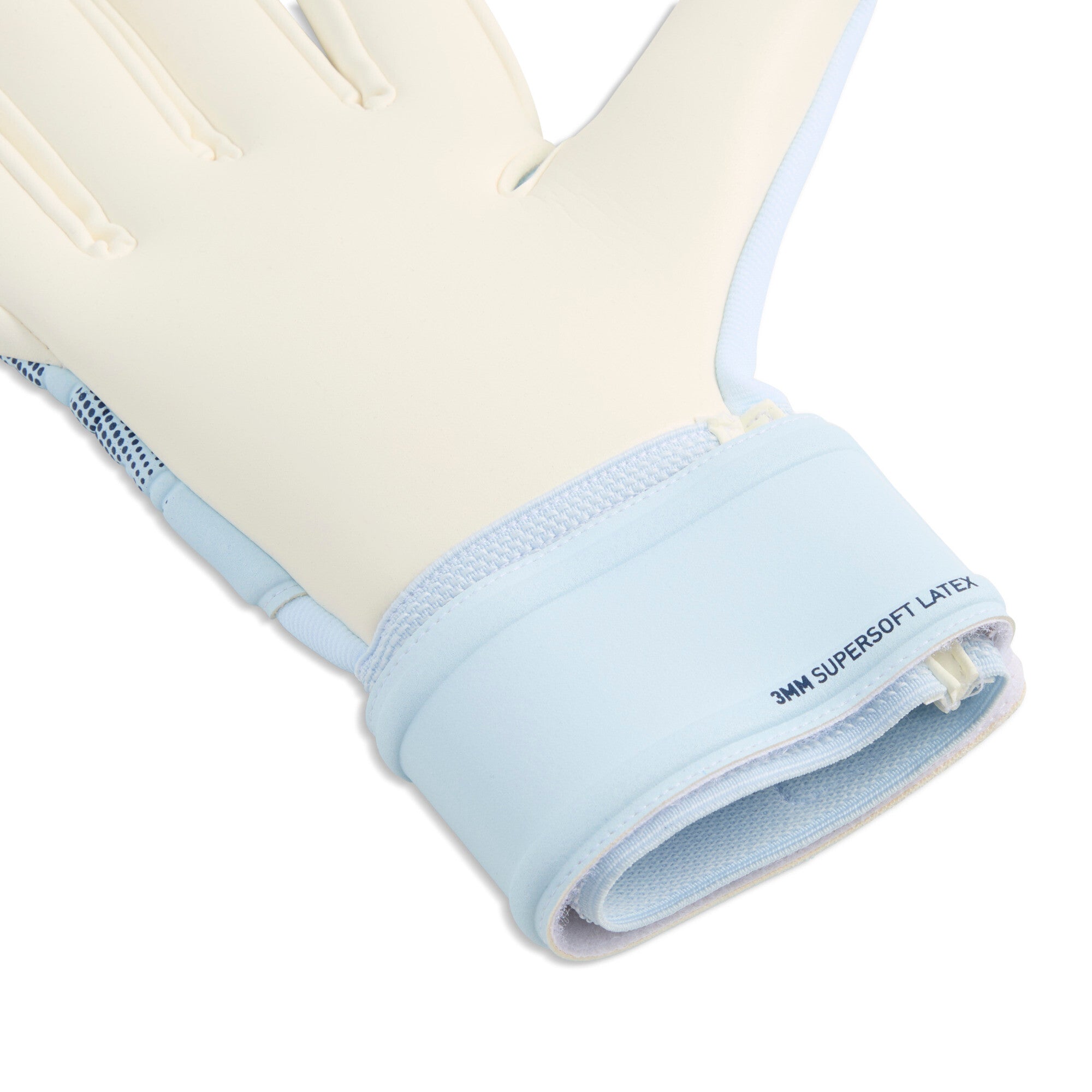 Puma Future Match NC Goalkeeper Gloves
