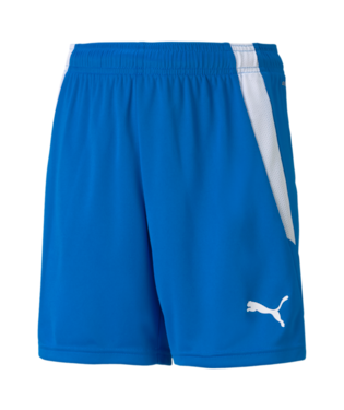 Puma Teamliga Shorts