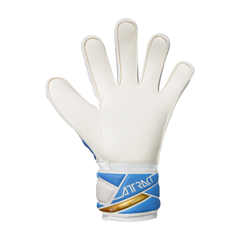 Reusch Jr. Attrakt Solid Goalkeper Gloves - Argentina Colors