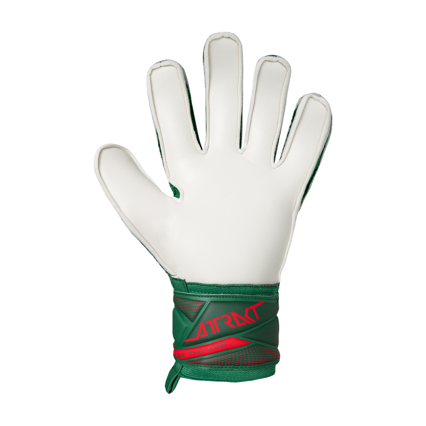 Reusch Jr. Attrakt Solid Goalkeper Gloves - Mexico Colors