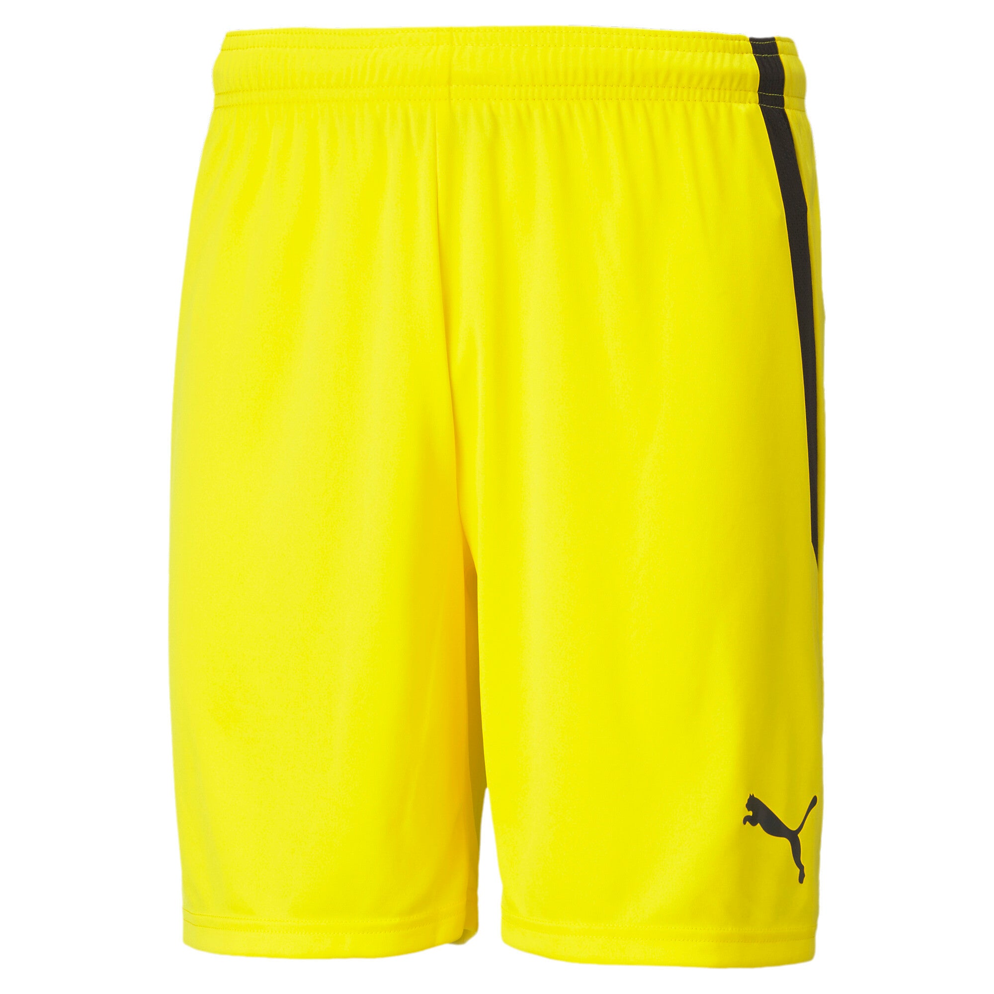 Puma Teamliga Shorts
