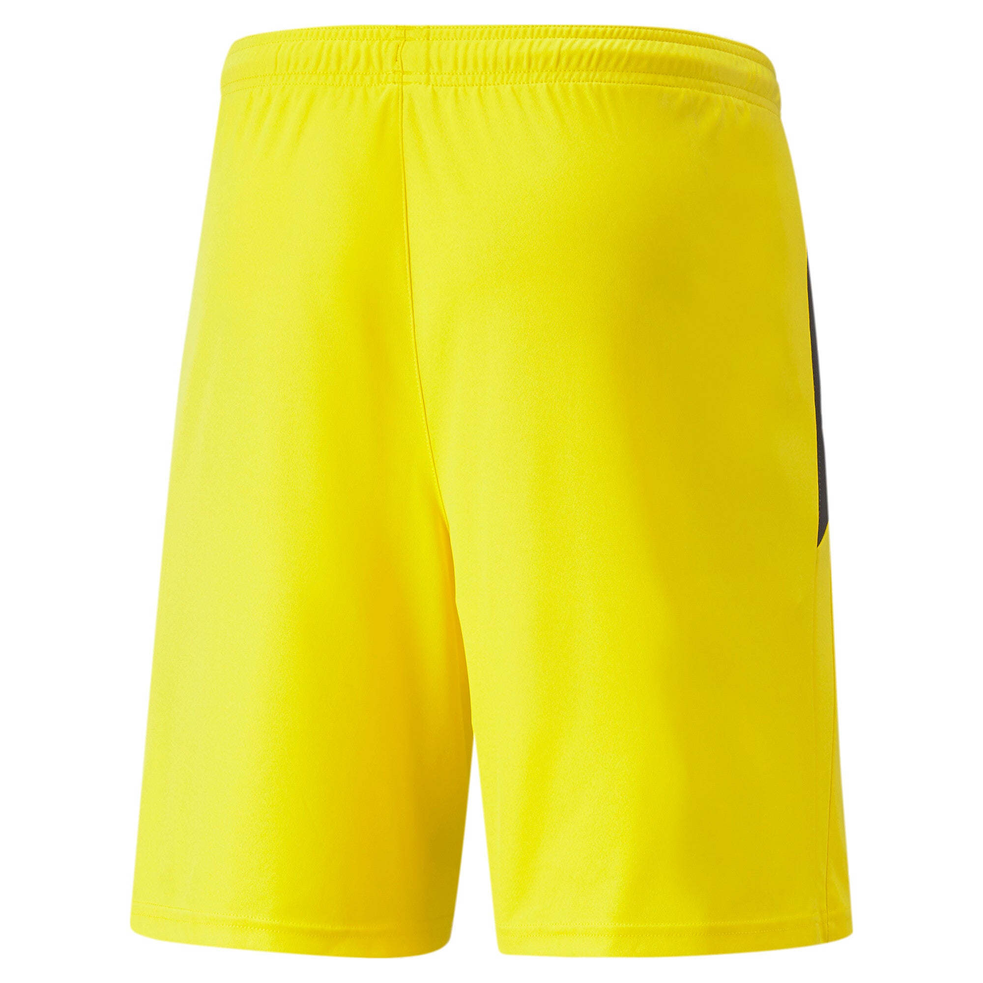 Puma Teamliga Shorts