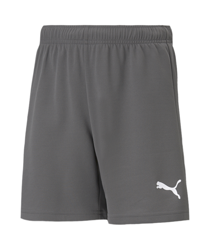 Puma Team Rise Shorts