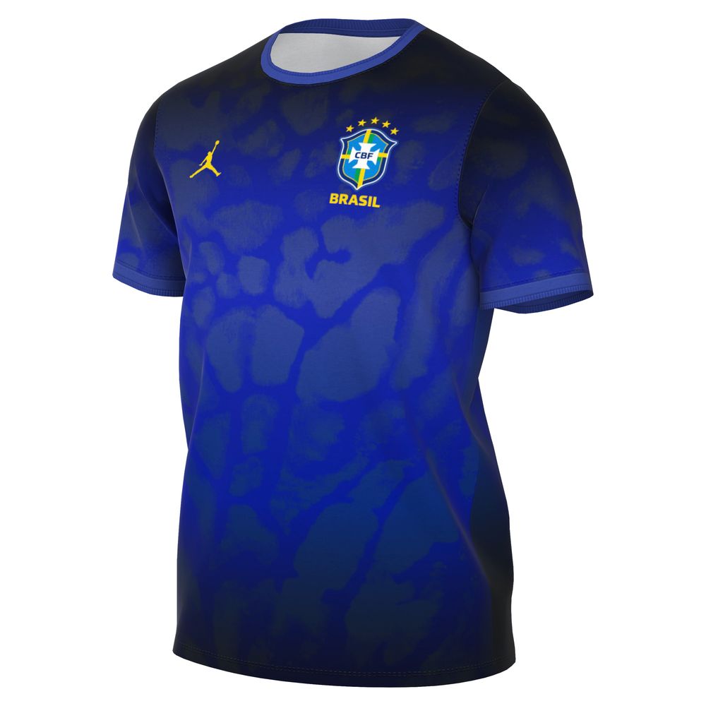 Nike Brazil 2026 Academy Pro Dri-FIT Pre-Match Top
