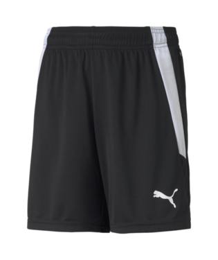 Puma Teamliga Shorts
