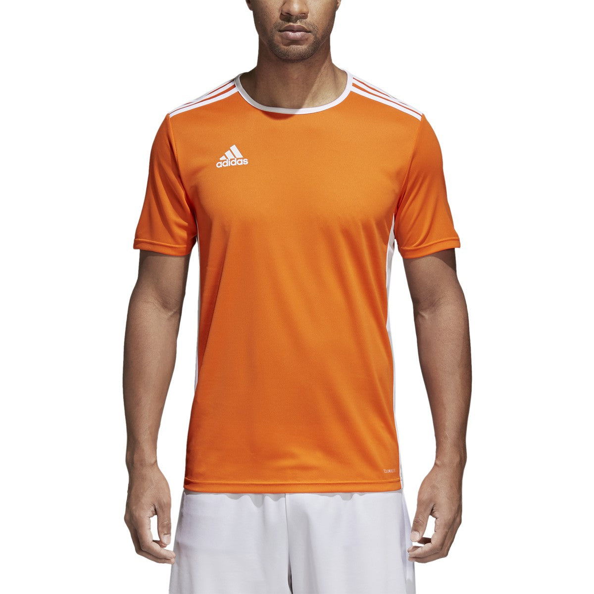 Adidas Entrada 18 Jersey- Adult