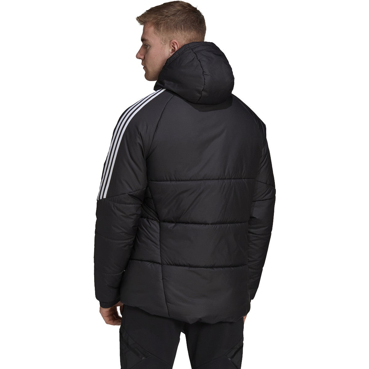 Adidas Condivo 22 Winter Jacket