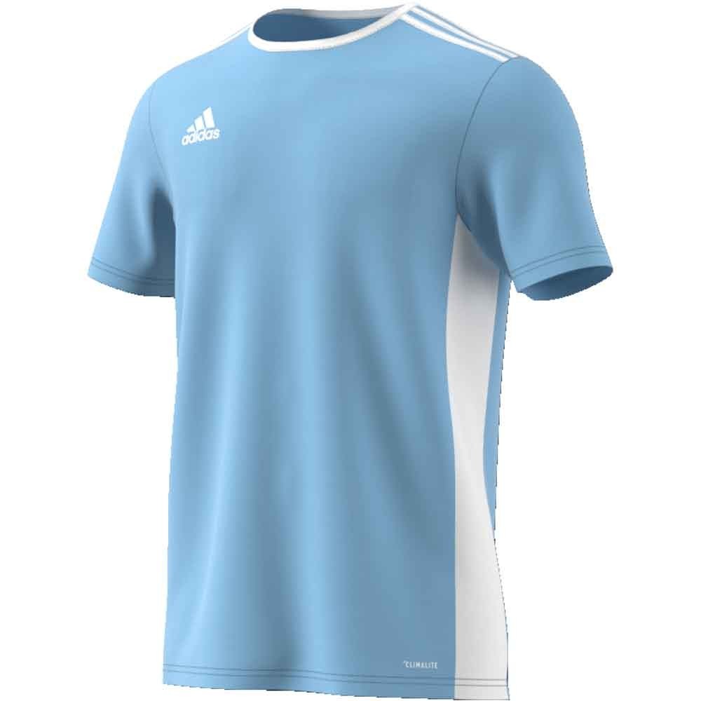Adidas Entrada 18 Jersey- Adult